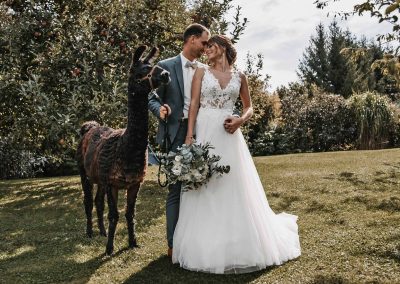 Hochzeit Fotoshooting mit Alpakas
