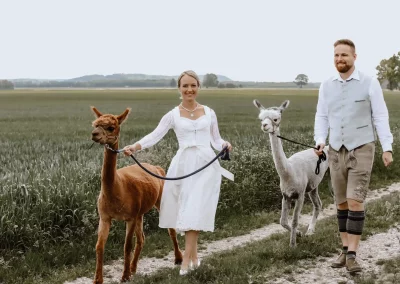 Fotoshootings mit Alpakas für Paare auf dem Lebenshof bei Augsburg in Bayern