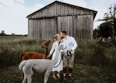 Fotoshootings mit Alpakas für Paare auf dem Lebenshof bei Augsburg in Bayern