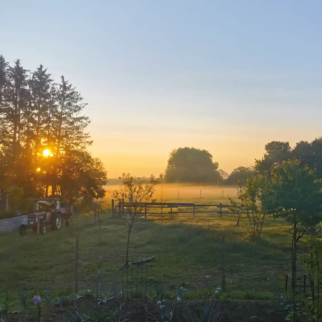 Sonnenaufgang: Idyllisches Camping mit Alpakas auf dem Lebenshof in Bayern! Komm mit Deinem Camper oder Zelt!